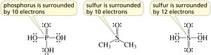 Expanded octets in phosphorus and sulfur