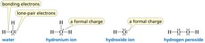Oxygen forms 2 bonds and has 2 lone pairs