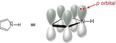 Basicity and aromaticity in pyridine and pyrrole