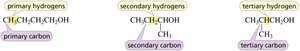 Primary, secondary, tertiary hydrogens