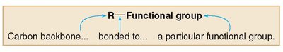 R group and functional group