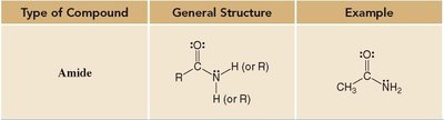 Table of amide functional group