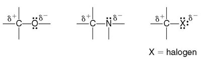 Polar bonds in organic molecules