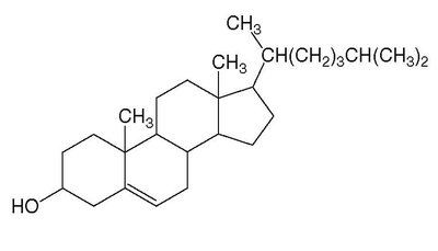 Cholesterol structure and solubility