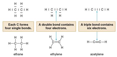 Single, double, and triple bonds in organic molecules
