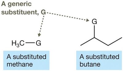Halo and nitro substituents