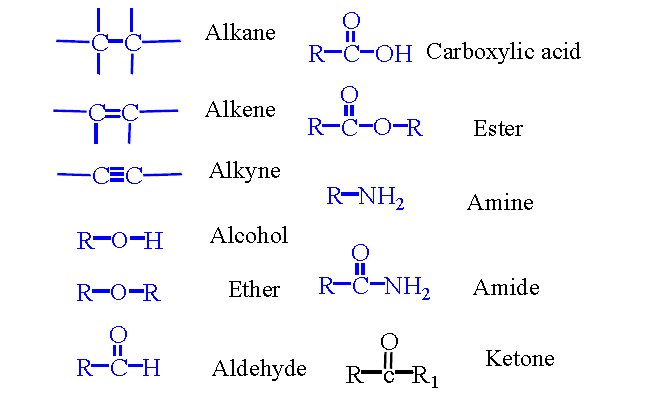 Major functional groups in organic chemistry