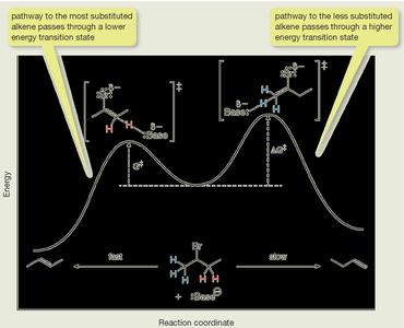 E2 reaction energy diagram showing transition states for more and less substituted alkene formation