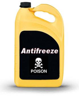 Antifreeze container labeled poison