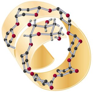 Helical structure of amylose