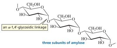 Three subunits of amylose with alpha-1,4-glycosidic linkages