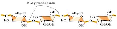 Cellulose structure with beta-1,4-glycosidic bonds