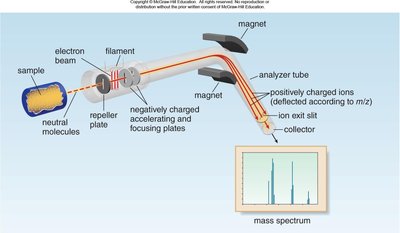Diagram of a mass spectrometer showing sample injection, ionization, magnetic separation, and detection