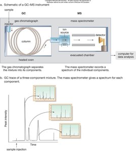 Schematic of GC-MS instrument and chromatogram