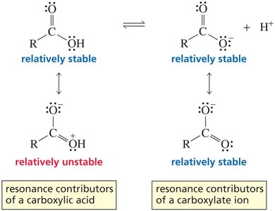 Resonance contributors of carboxylic acid and carboxylate ion