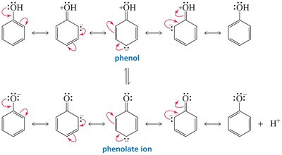 Resonance in phenol and phenolate ion