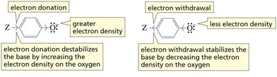 Effect of electron donation and withdrawal on base stability