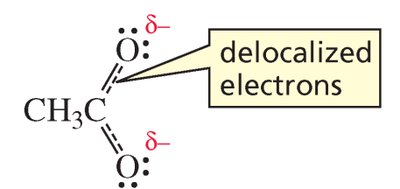 Delocalized electrons in the acetate ion