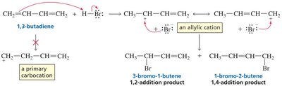 Mechanism of 1,2- and 1,4-addition to 1,3-butadiene