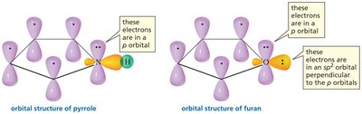 Orbital structures of pyrrole and furan