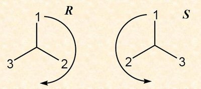 Clockwise and counterclockwise assignment for R and S