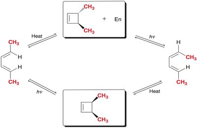 Electrocyclic ring closure and opening with methyl-substituted cyclohexadiene