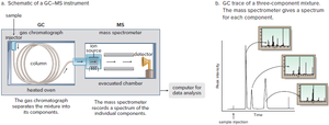 Schematic and trace of GC-MS instrument