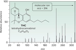 Mass spectrum of THC
