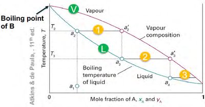 Binary phase diagram for miscible mixtures