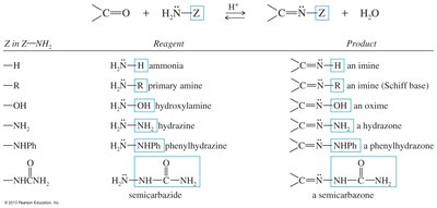Condensation products with amines