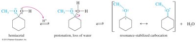 Mechanism for hemiacetal and acetal formation