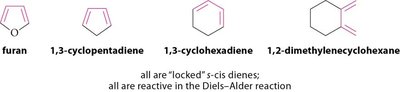 Locked s-cis dienes