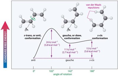 Energy diagram for diene conformations