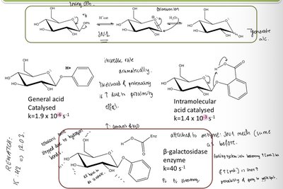 Diazine reactivity and nucleic acid bases