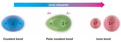 Comparison of covalent, polar covalent, and ionic bonds