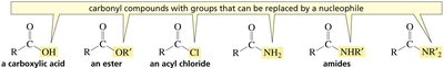 Types of carboxylic acid derivatives