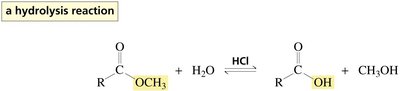 Acid-catalyzed hydrolysis of an ester