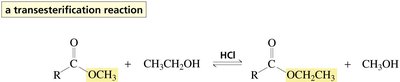 Acid-catalyzed transesterification of an ester