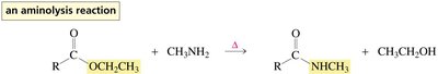 Aminolysis of an ester