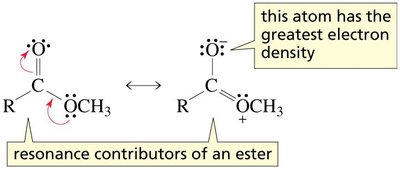 Resonance contributors of an ester