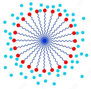 Schematic of a detergent micelle