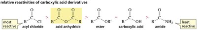 Relative reactivities of carboxylic acid derivatives including anhydrides