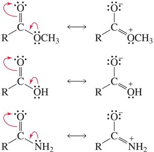 Resonance structures of esters, acids, and amides