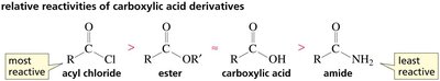 Relative reactivities of carboxylic acid derivatives