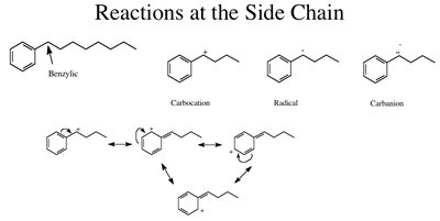Halogenation of the side chain benzylic radicals