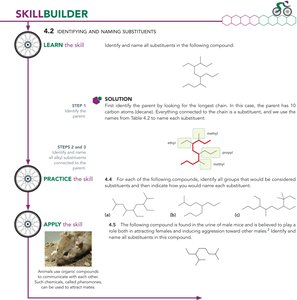 SkillBuilder: Identifying and naming substituents