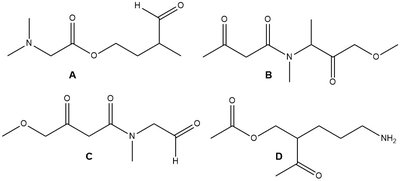 Molecules with ester, amine, and ketone functional groups