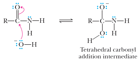 Base-catalyzed amide hydrolysis mechanism