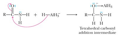 First step of amide reduction: hydride addition