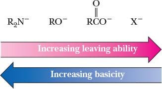 Leaving group ability and basicity in carboxylic acid derivatives